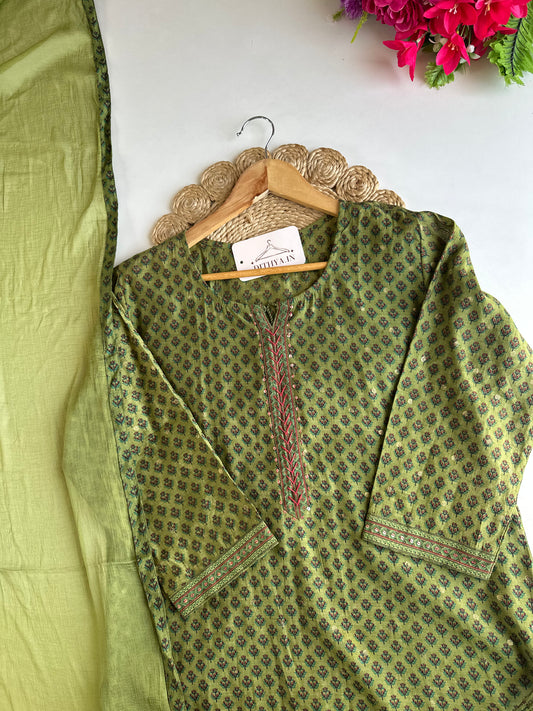 D593-Muslin straight Kurti with pants and dupatta