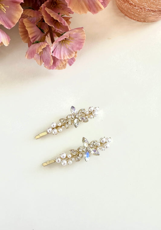 A006 - Fancy hair slides