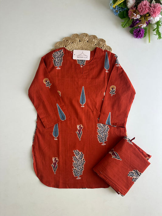 K543 - Mul cotton printed coord set