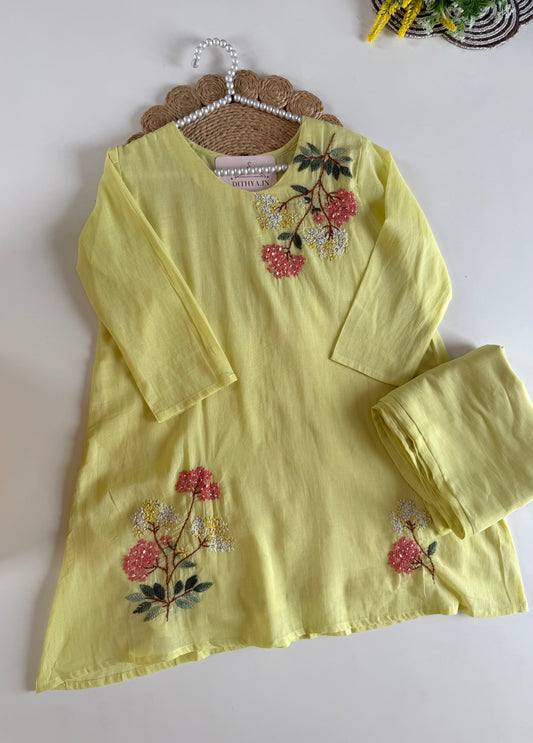 K662 - Mul cotton embroidered coord set