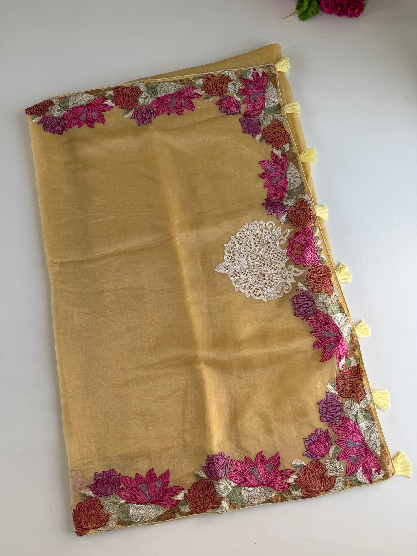S020 - Soft organza appliqué embroidered saree in 3 colours