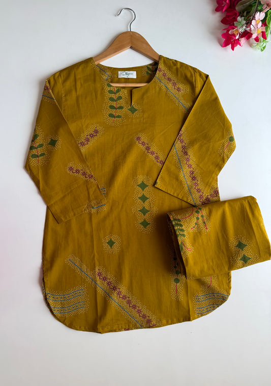 K710 - Mul cotton printed coord set