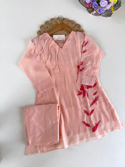 K515 - Mul chanderi appliqué coord set