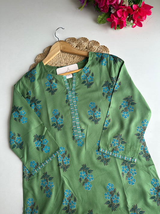 D664-Muslin straight Kurti